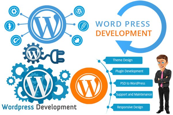 WordPress Solutions